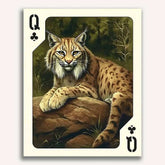 Queen of Clubs - Lynx