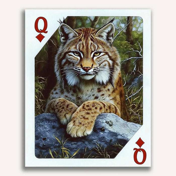 Queen of Diamonds - Lynx