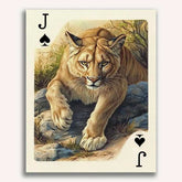 Jack of Spades - Mountain Lion
