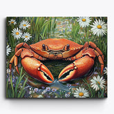 Freshwater Crab