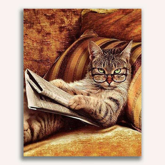 Cat reading newspaper - ColourCrash