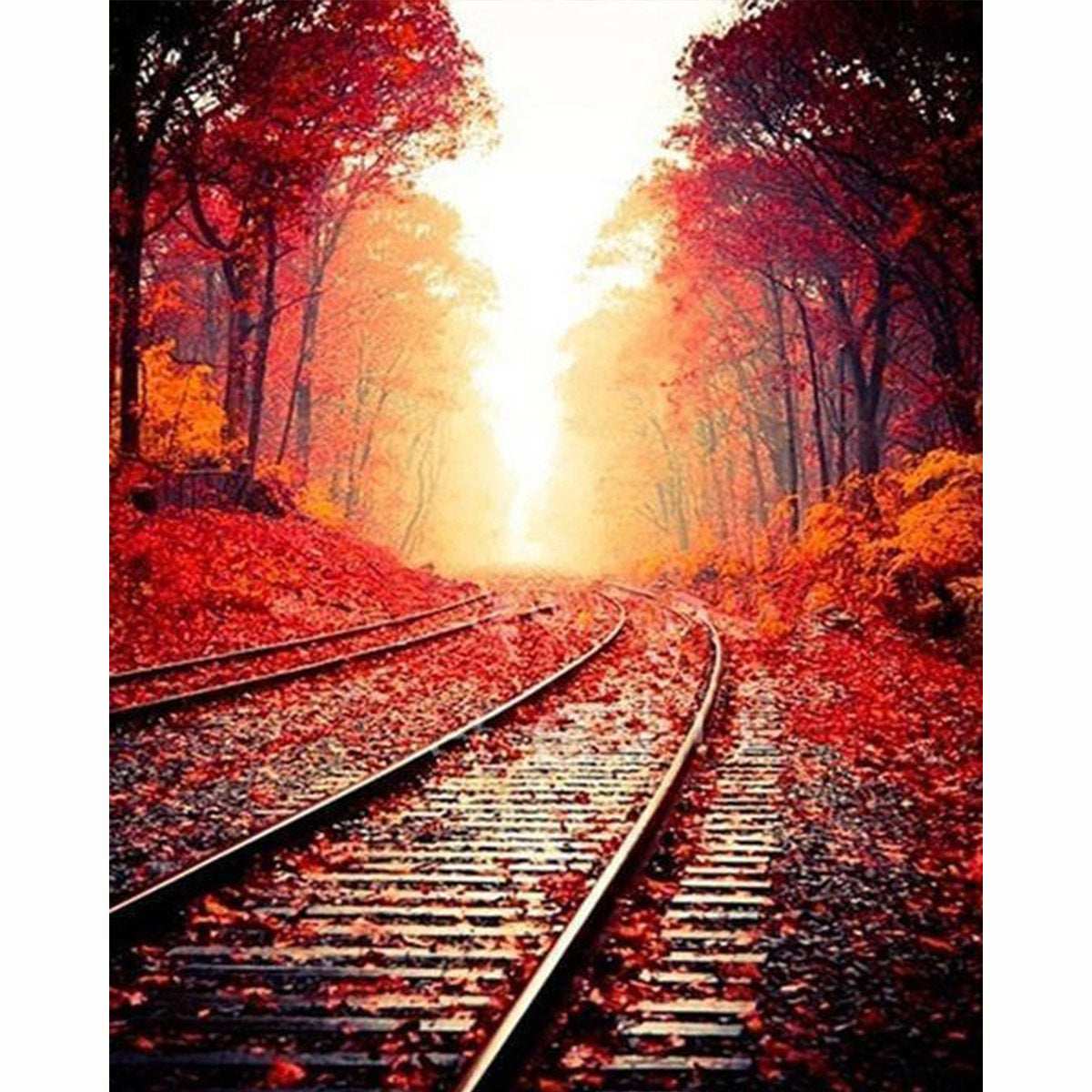 Autumn Tracks Warm Sun - ColourCrash