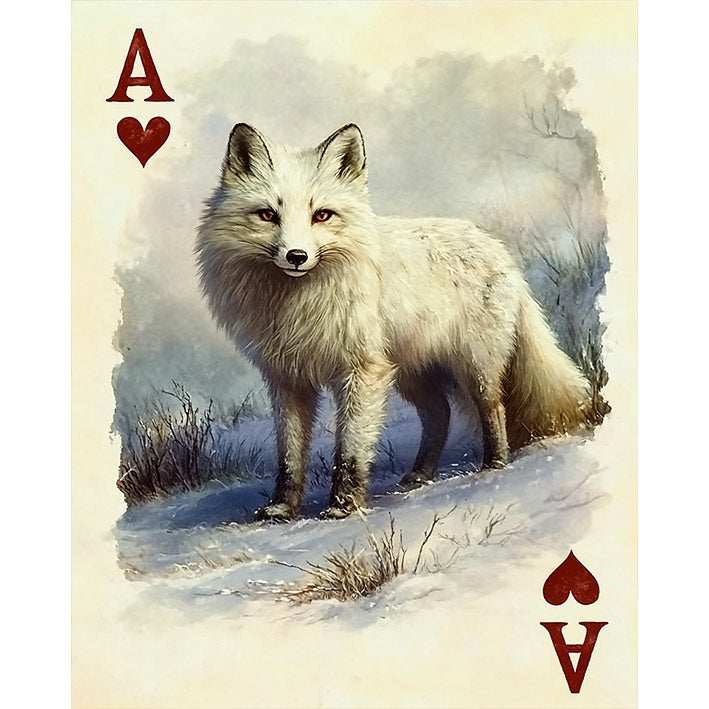 Ace of Hearts - Arctic Fox