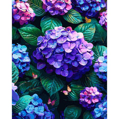 hydrangea - ColourCrash