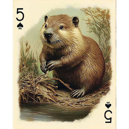 5 of Spades - Otter