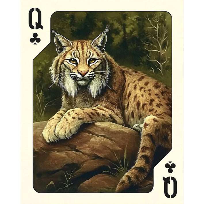 Queen  of Clubs - Lynx