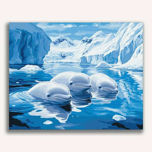 Beluga Whales in Arctic Waters* - ColourCrash