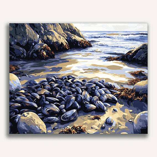 Mussels on a Rocky Shoreline - ColourCrash