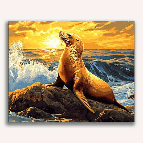 Sea Lion on a Rock - ColourCrash