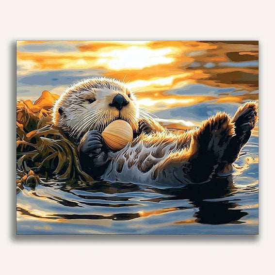 Sea Otter Floating on Its Back - ColourCrash