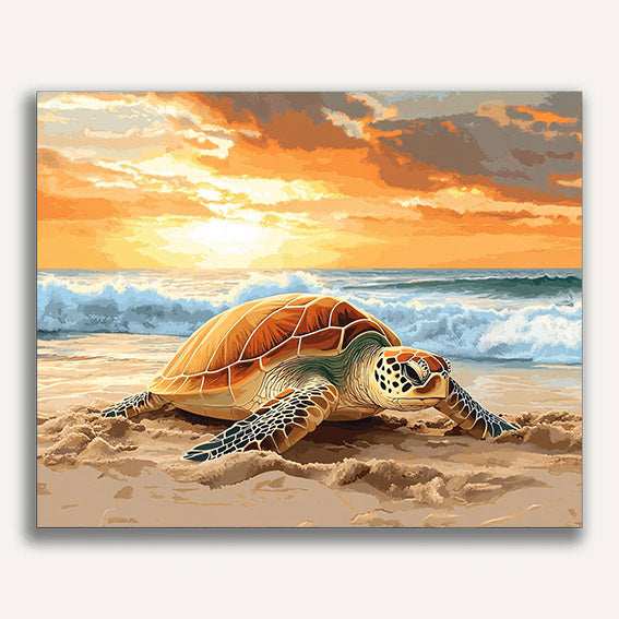 Sea Turtle Nesting on the Beach - ColourCrash