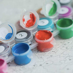 Paints Insurance Program - ColourCrash