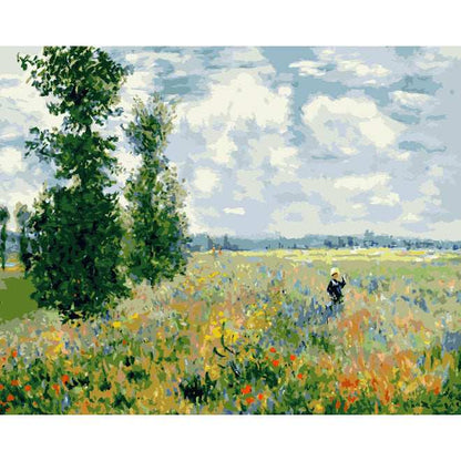 Monet-Poppy Field - ColourCrash