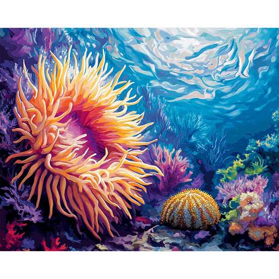 Sea Anemone and Sea Urchin - ColourCrash