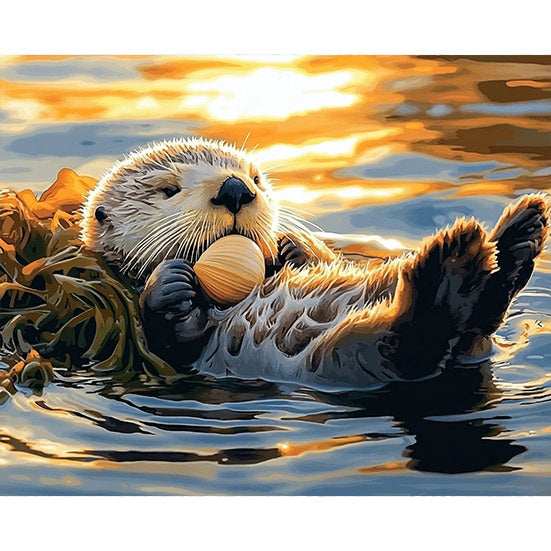 Sea Otter Floating on Its Back - ColourCrash