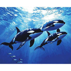 Orca Whales in the Deep - ColourCrash