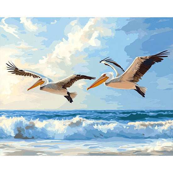 Pelicans Soaring Over the Ocean - ColourCrash