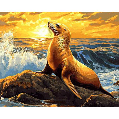 Sea Lion on a Rock - ColourCrash