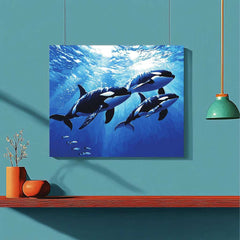 Orca Whales in the Deep - ColourCrash