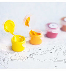 Paints Insurance Program - ColourCrash