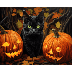 Black Cat's Pumpkin Adventure - ColourCrash