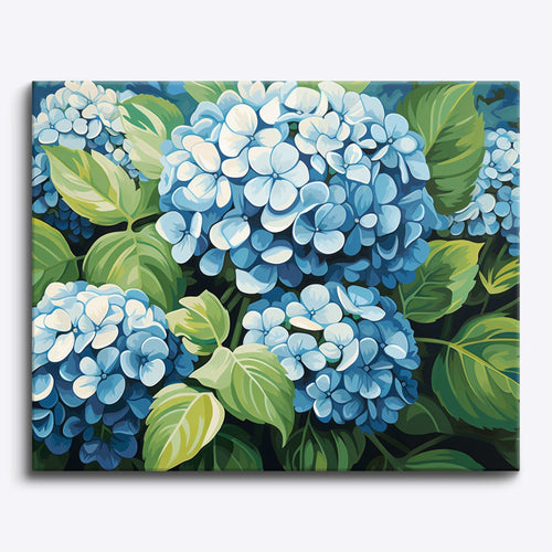 Clustered Hydrangeas - ColourCrash